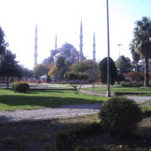 Sultanahmet macskái
